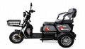 Comfort Ride Electric Passenger Trike