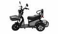 Electric Cargo Trike with Dual Basket