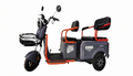 Electric Passenger Trike 48V 800W Motor