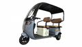 All-Weather 3-Wheel Electric Canopy Trike